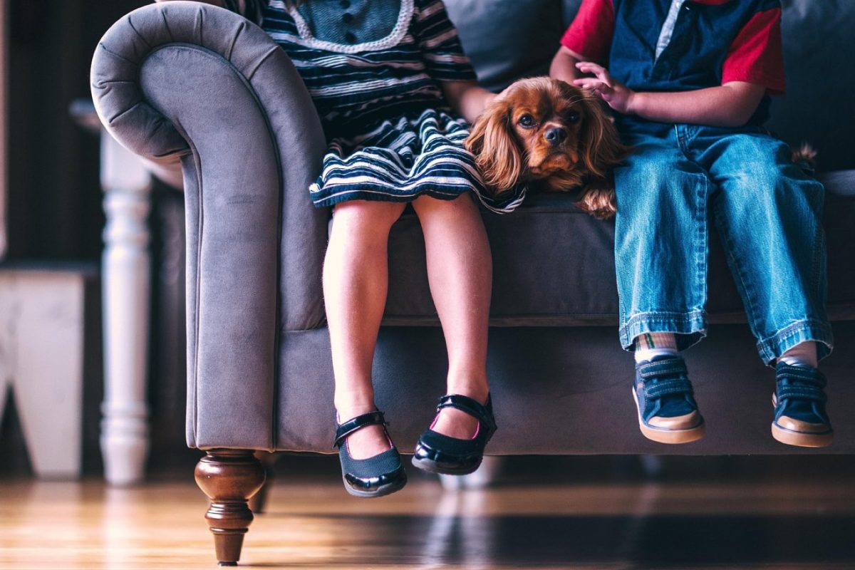 Top 8 jeux de quiz pour animer une soirée en famille