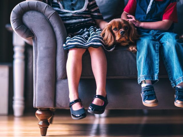 Top 8 jeux de quiz pour animer une soirée en famille